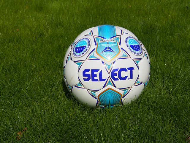 帮助茶农提 帮助茶农提