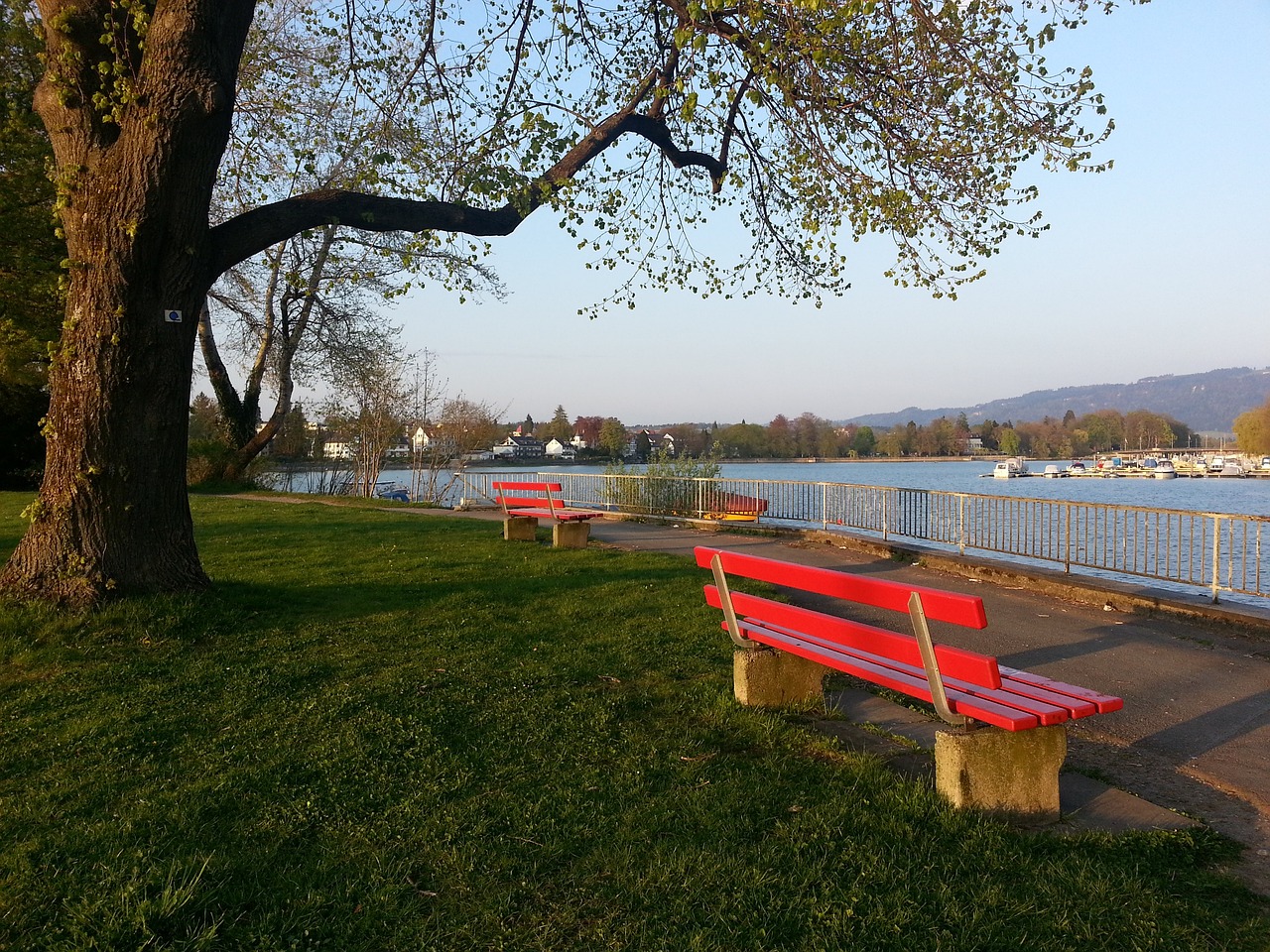 来龙去脉究 来龙去脉究