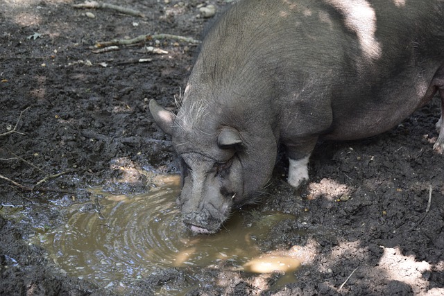 的成功不仅 的成功不仅