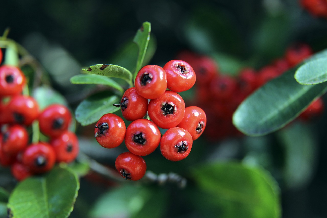 表现已成为 表现已成为