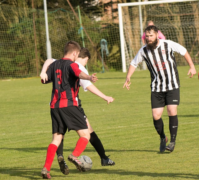 心理素质已 心理素质已